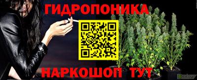 гидра Ликино-Дулёво